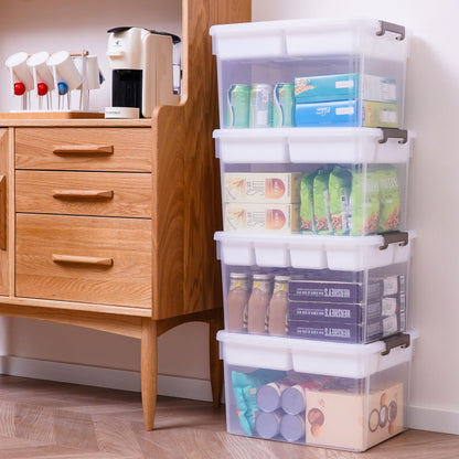 Citylife 17QT Clear Craft Organizers and Storage Box with Removable Tray